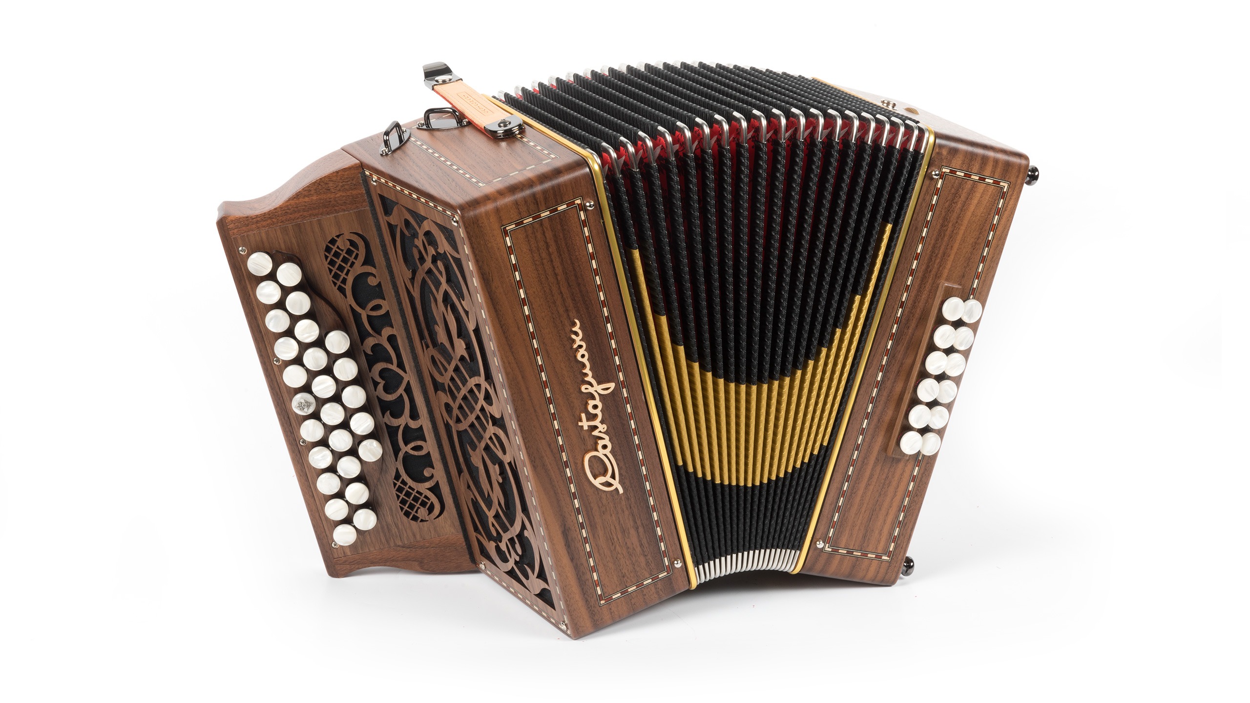 Dony noyer Dony noyer